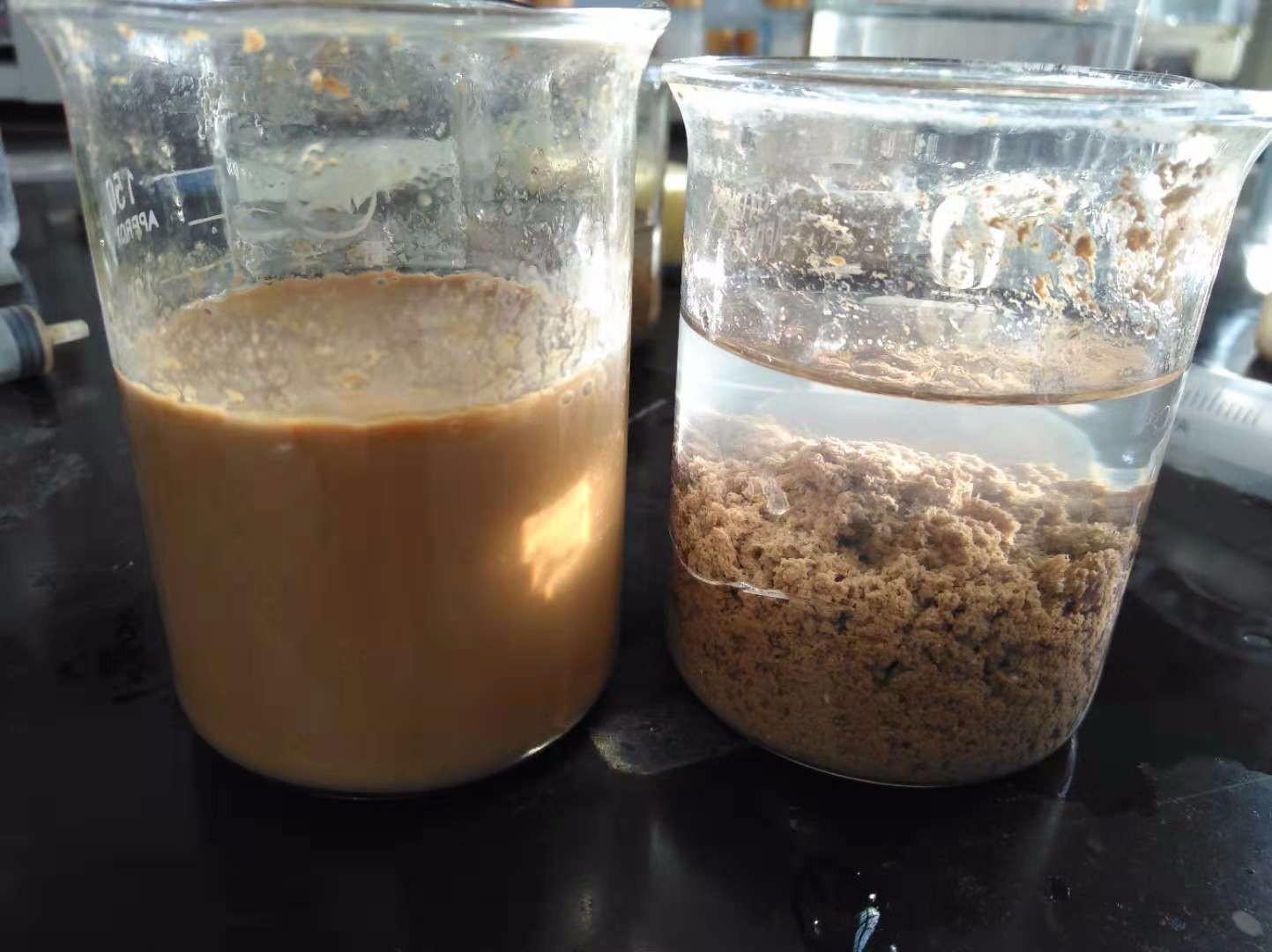 <a href='http://m.jumiaasia.com/jsyj/992.html' target='_blank'><u>���x�Ӿ۱�ϩ�������a�S��</u></a>