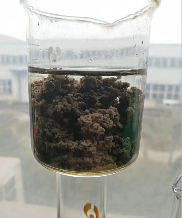 �o�F<a href='http://m.jumiaasia.com/jsyj/54.html' target='_blank'><u>�ۺ������X���a�S��</u></a>