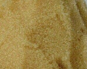 ��֬�V�����a�S�ҹ�������x�Ә�֬�V�ϡ���x�Ә�֬�V��