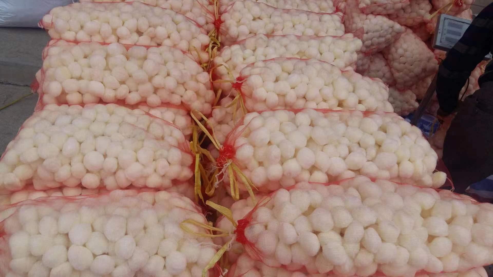 �|��ˮ̎�������w�S��V�����a�S��